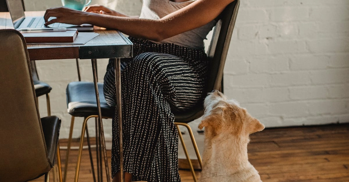 Профессиональный анализ игрового автомата The Dog House Megaways