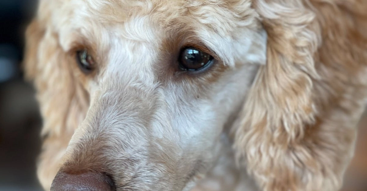 Критерии качества программ лояльности казино без депозита